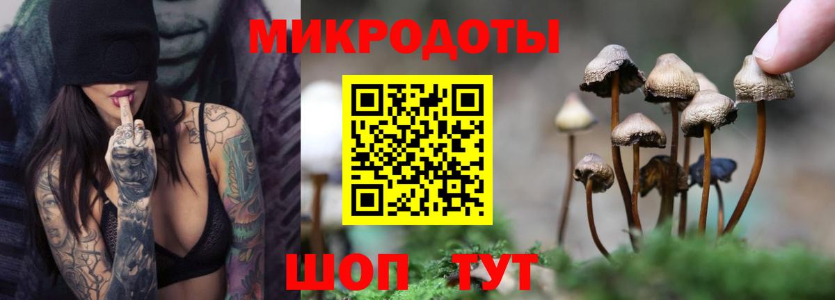 Арсеньев  Псилоцибиновые грибы Magic Shrooms  Галлюциногенные грибы мицелий  Вход с VPN 